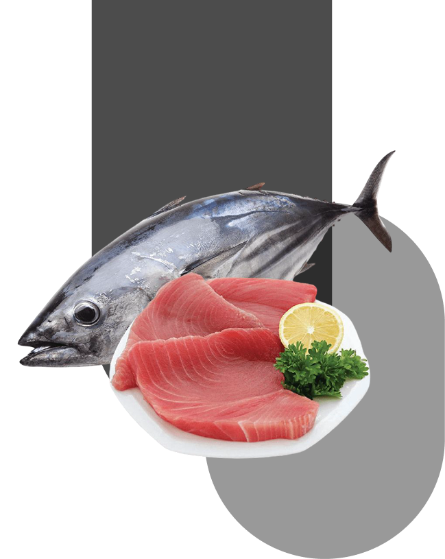 Seafood